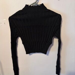 Zara Black Turtleneck Crop Top